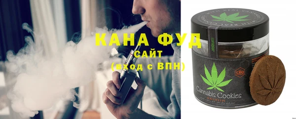 гашик Ессентукская
