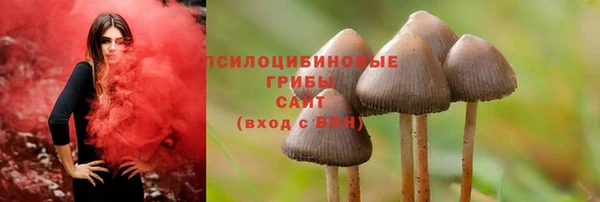 амф Лагань