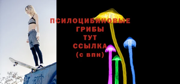 тгк Кукмор