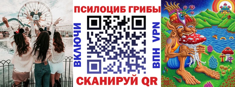 Псилоцибиновые грибы Psilocybe  сколько стоит  Краснознаменск 