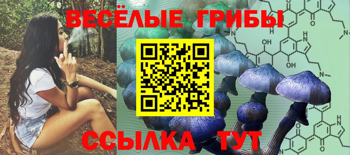 Краснознаменск  Псилоцибиновые грибы мицелий  купить наркоту  Вход с VPN 