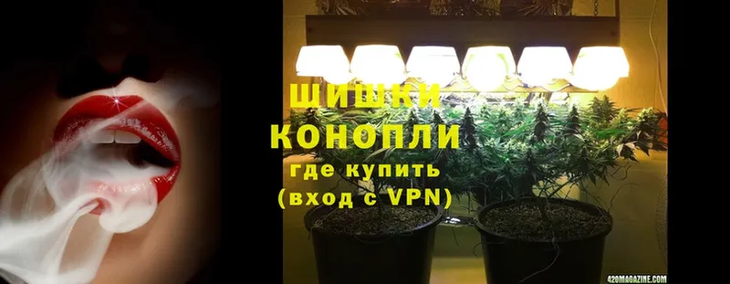 наркота  Краснознаменск  Бошки Шишки THC 21% 